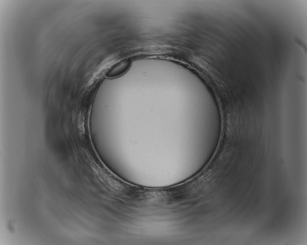X0000099431451200805231642