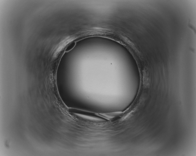 X0000099431453200805231642