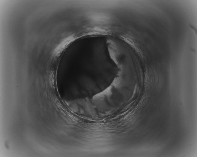 X0000099431455200805231642