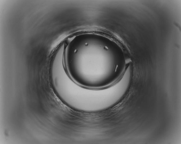 X0000099431456200805231642