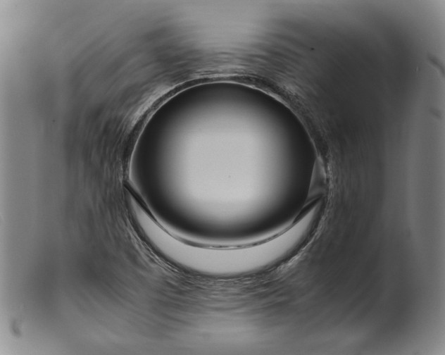 X0000099431457200805231642