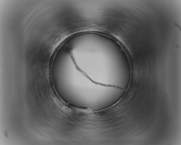 X0000099431460200805231642