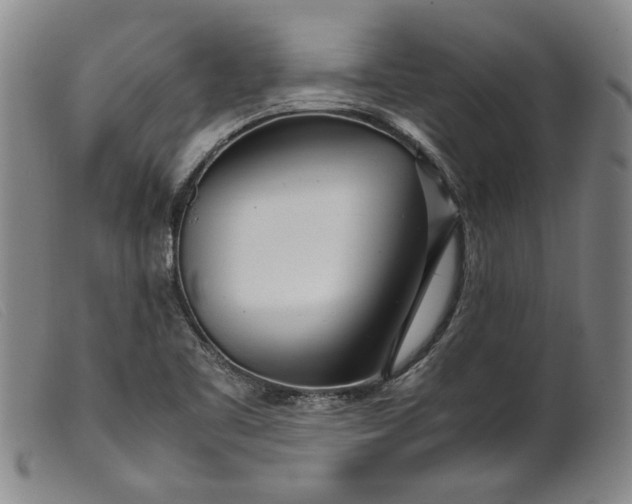 X0000099431461200805231642