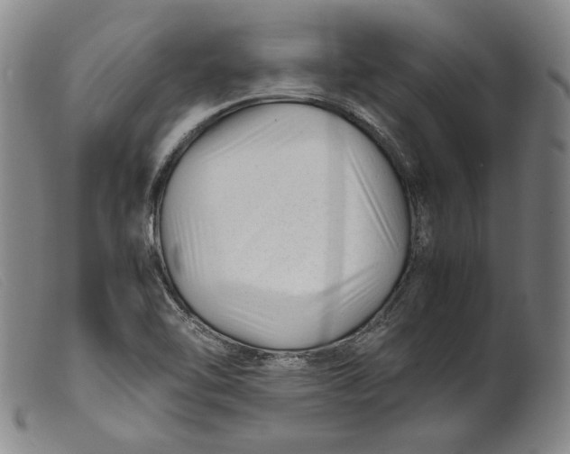 X0000099431462200805231642