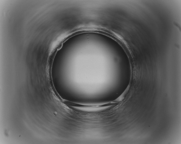 X0000099431464200805231642