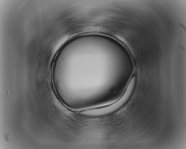X0000099431467200805231642