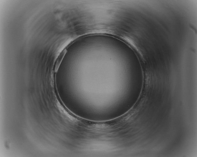 X0000099431468200805231642
