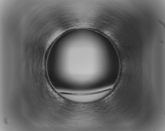 X0000099431469200805231642