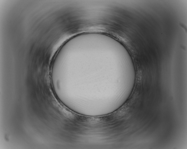 X0000099431470200805231641