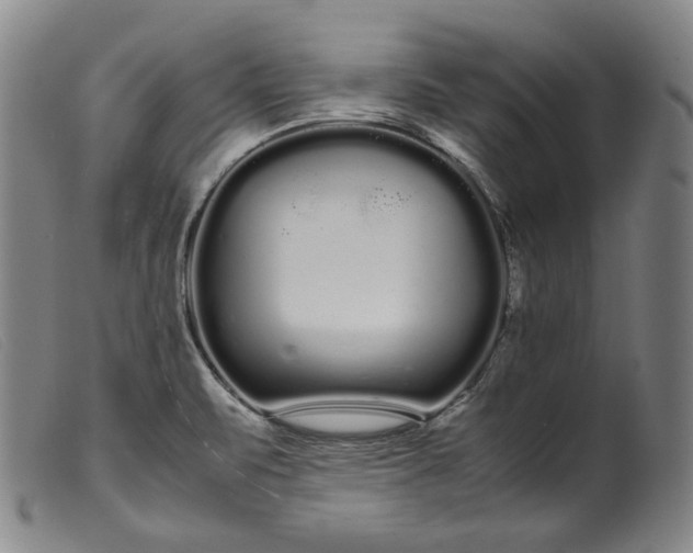 X0000099431471200805231641