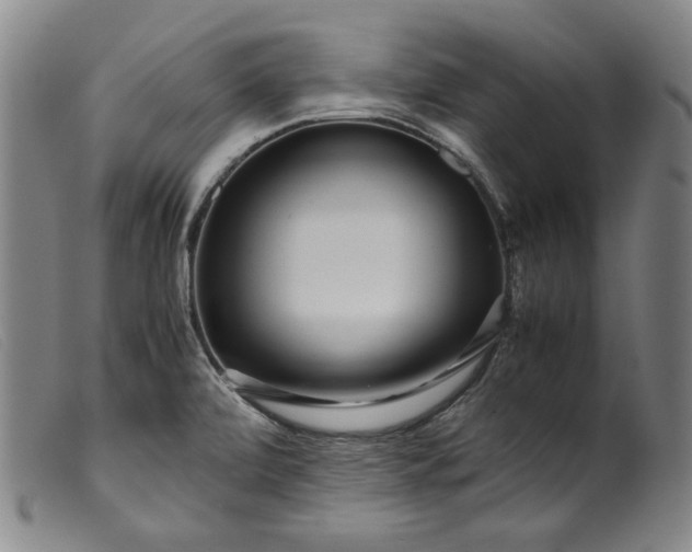 X0000099431472200805231641
