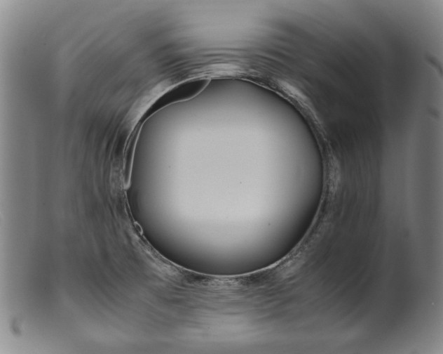X0000099431473200805231641