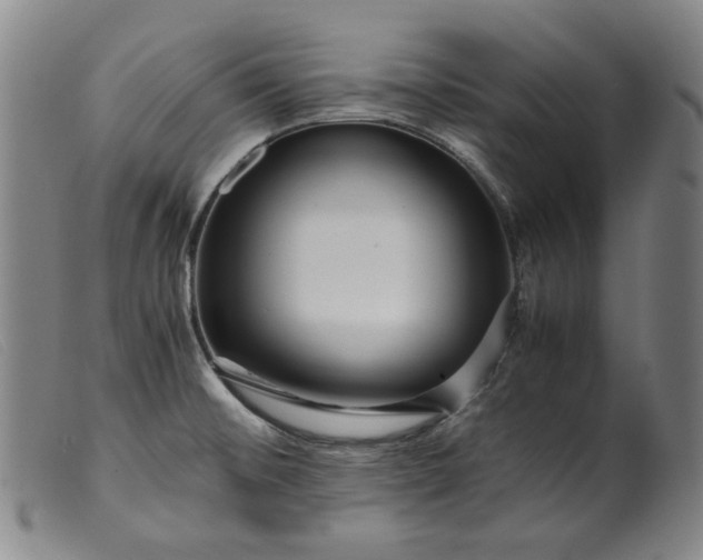 X0000099431476200805231641