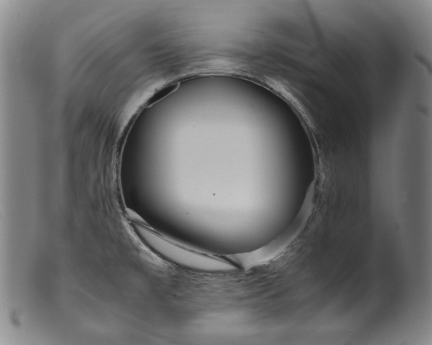 X0000099431477200805231641