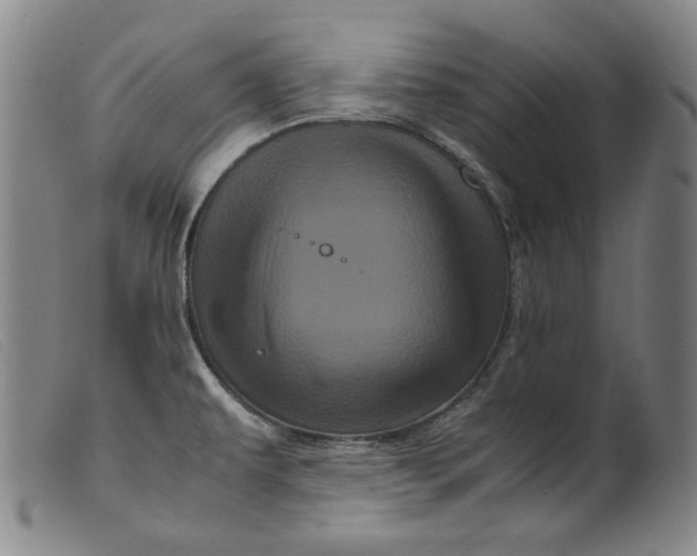 X0000099431479200805231641