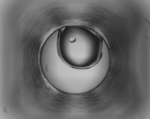 X0000099431480200805231641