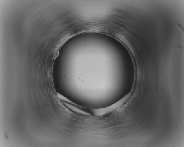 X0000099431481200805231641