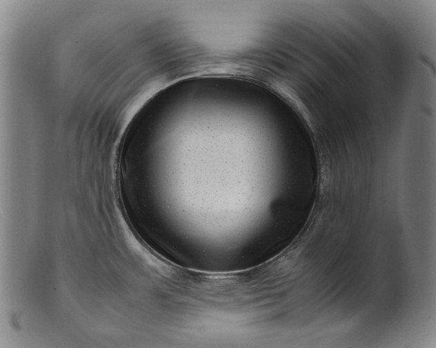 X0000099431483200805231641
