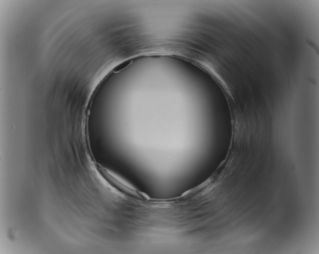 X0000099431484200805231641