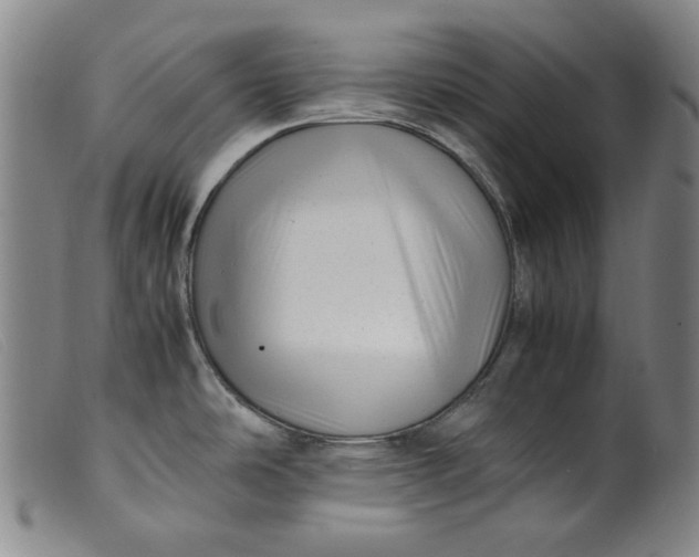 X0000099431486200805231641