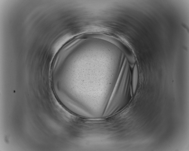 X0000099431487200805231641