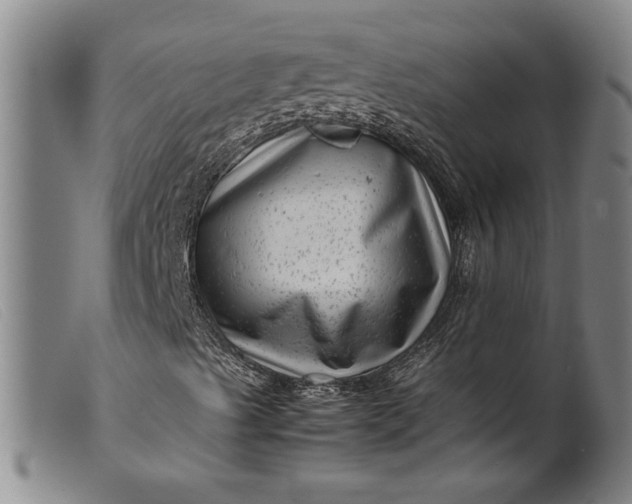 X0000099431489200805231640