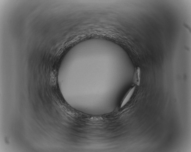 X0000099431491200805231640