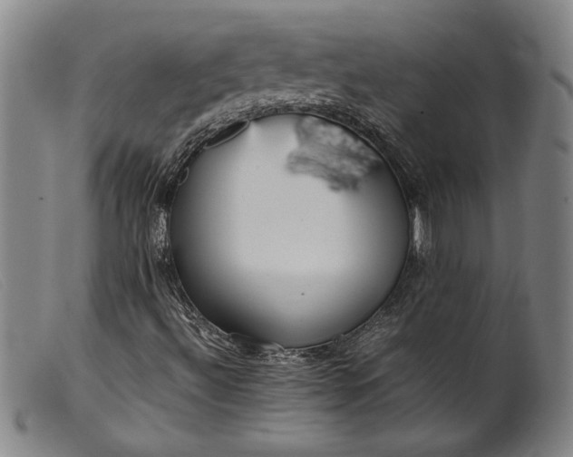 X0000099431492200805231640
