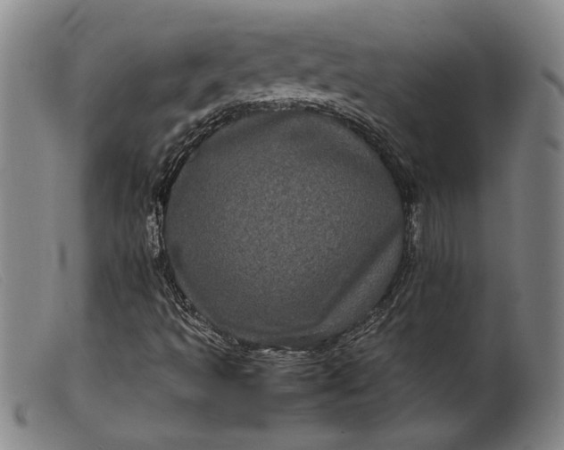 X0000099431493200805231640