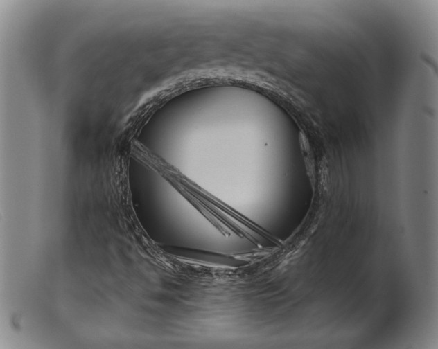 X0000099431494200805231640