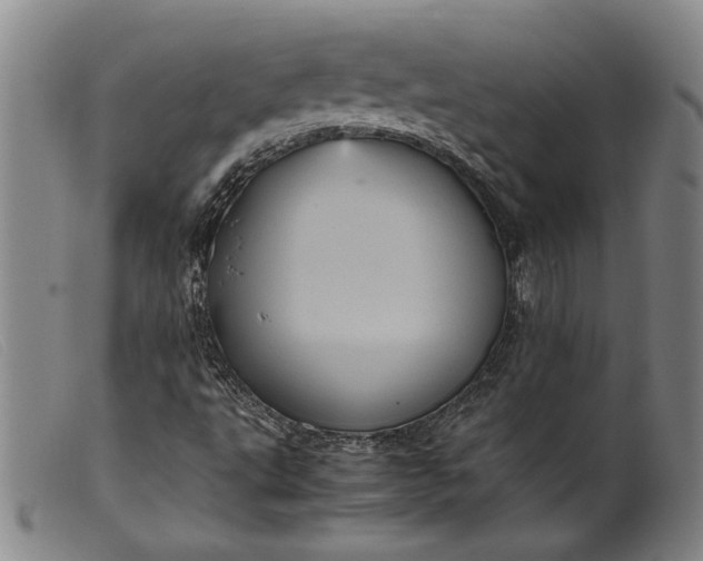 X0000099431495200805231640