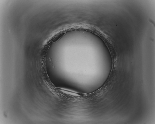 X0000099431496200805231641