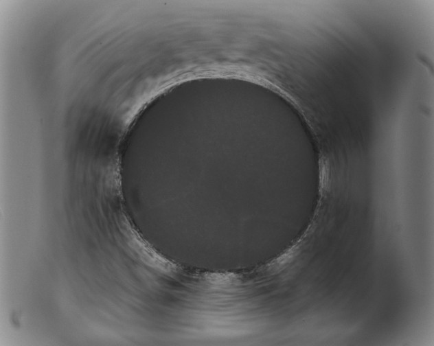 X0000099431498200805231641