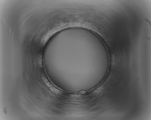 X0000099431499200805231641