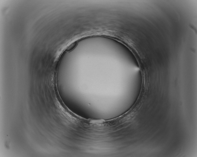 X0000099431500200805231641
