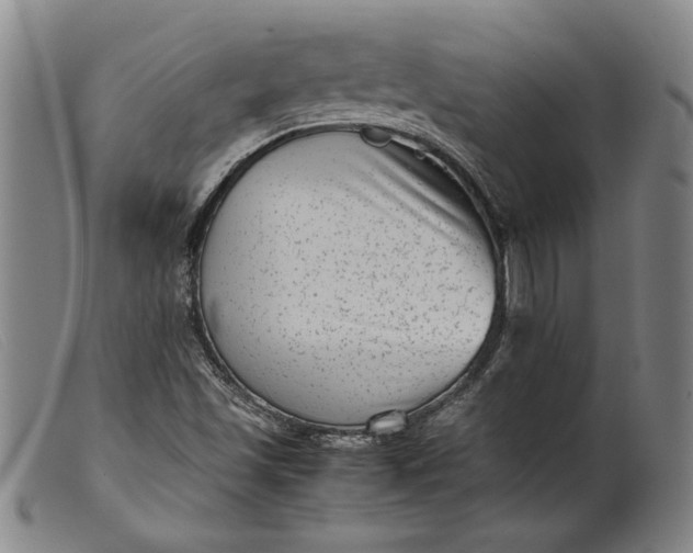 X0000099431501200805231641