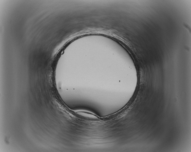 X0000099431502200805231641