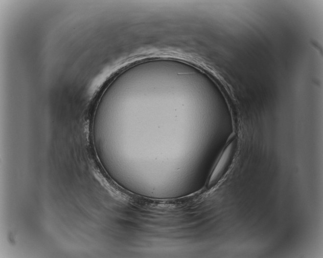 X0000099431503200805231641