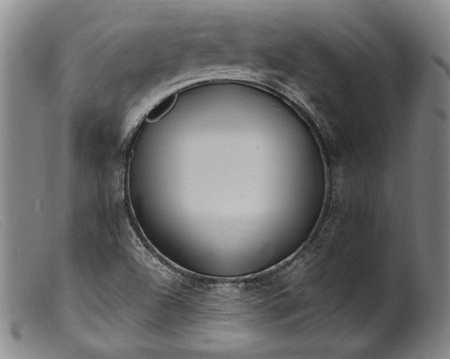 X0000099431504200805231641