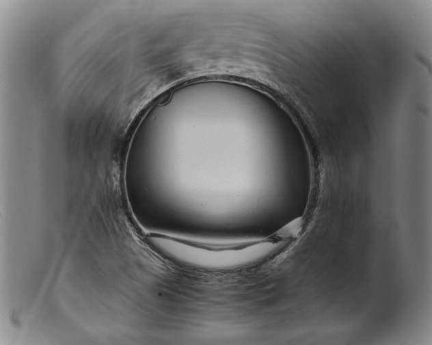 X0000099431505200805231641