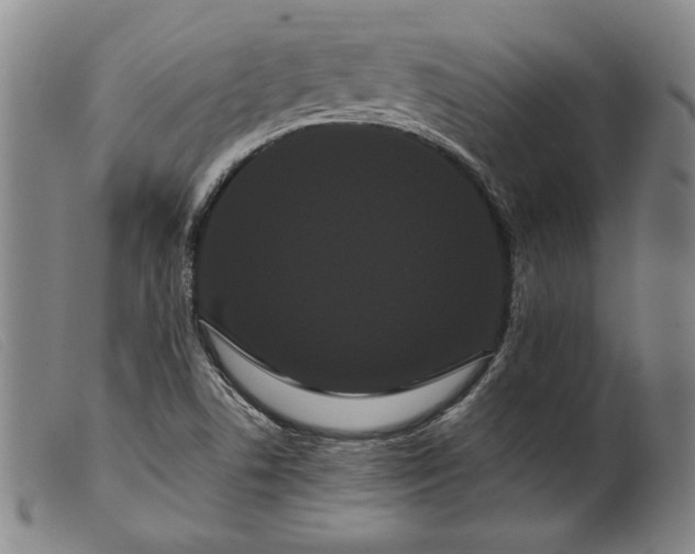 X0000099431506200805231641