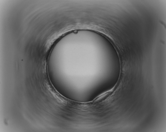 X0000099431507200805231641