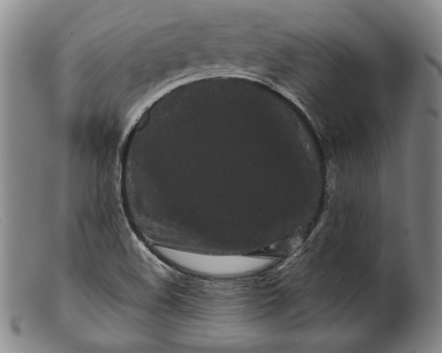 X0000099431508200805231641