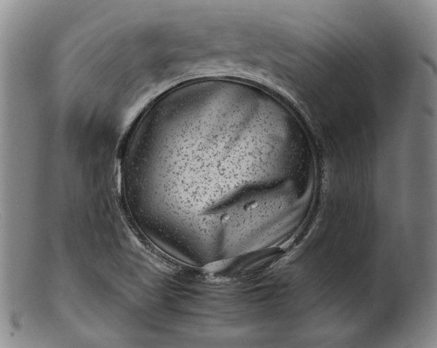 X0000099431509200805231641