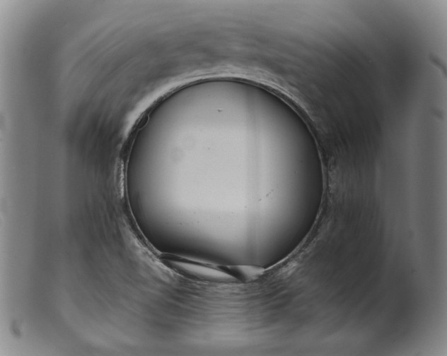X0000099431510200805231641