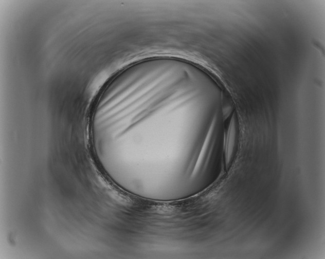 X0000099431511200805231641
