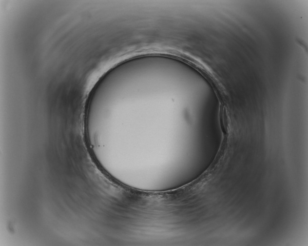 X0000099431512200805231641