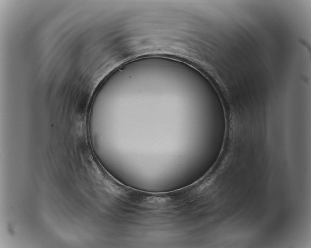 X0000099431513200805231641