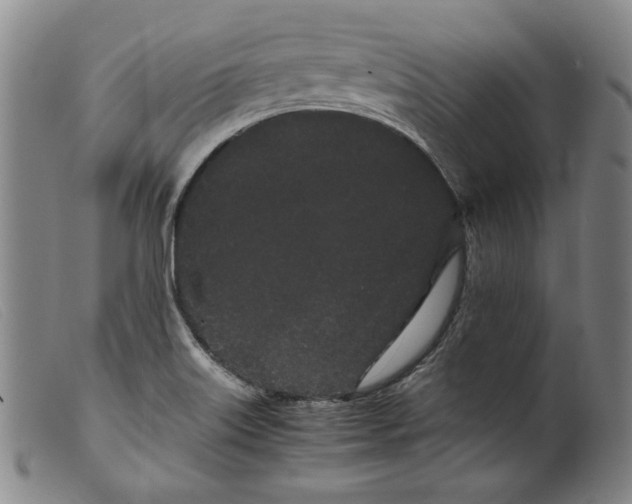 X0000099431515200805231641