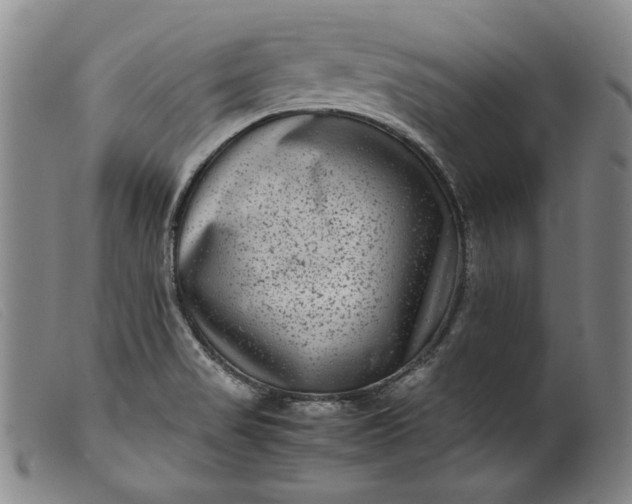 X0000099431517200805231641